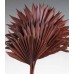 SUN PALM Chocolate 8" x 14"- 